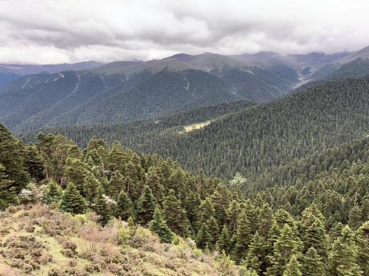 上海自驾游租车攻略,上海自驾西藏路线沿途酒店