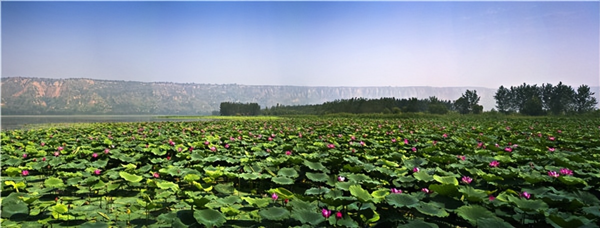 运城芮城由来,山西省运城市芮城县历史