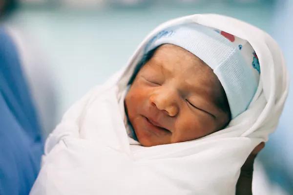 哪些动物的大脑发育得最快,最聪明的动物智力