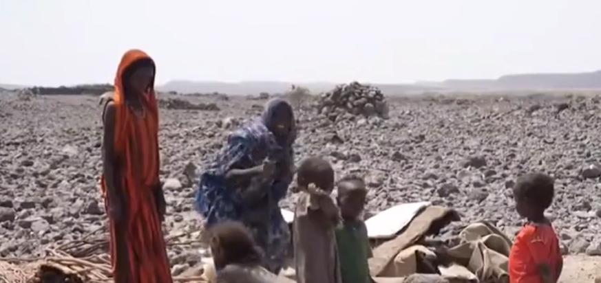 湖北校花被父母囚禁后续,校花囚禁案后续