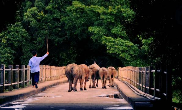 国内十大免费旅行圣地 (10个国内性价比最高的小众旅行地)