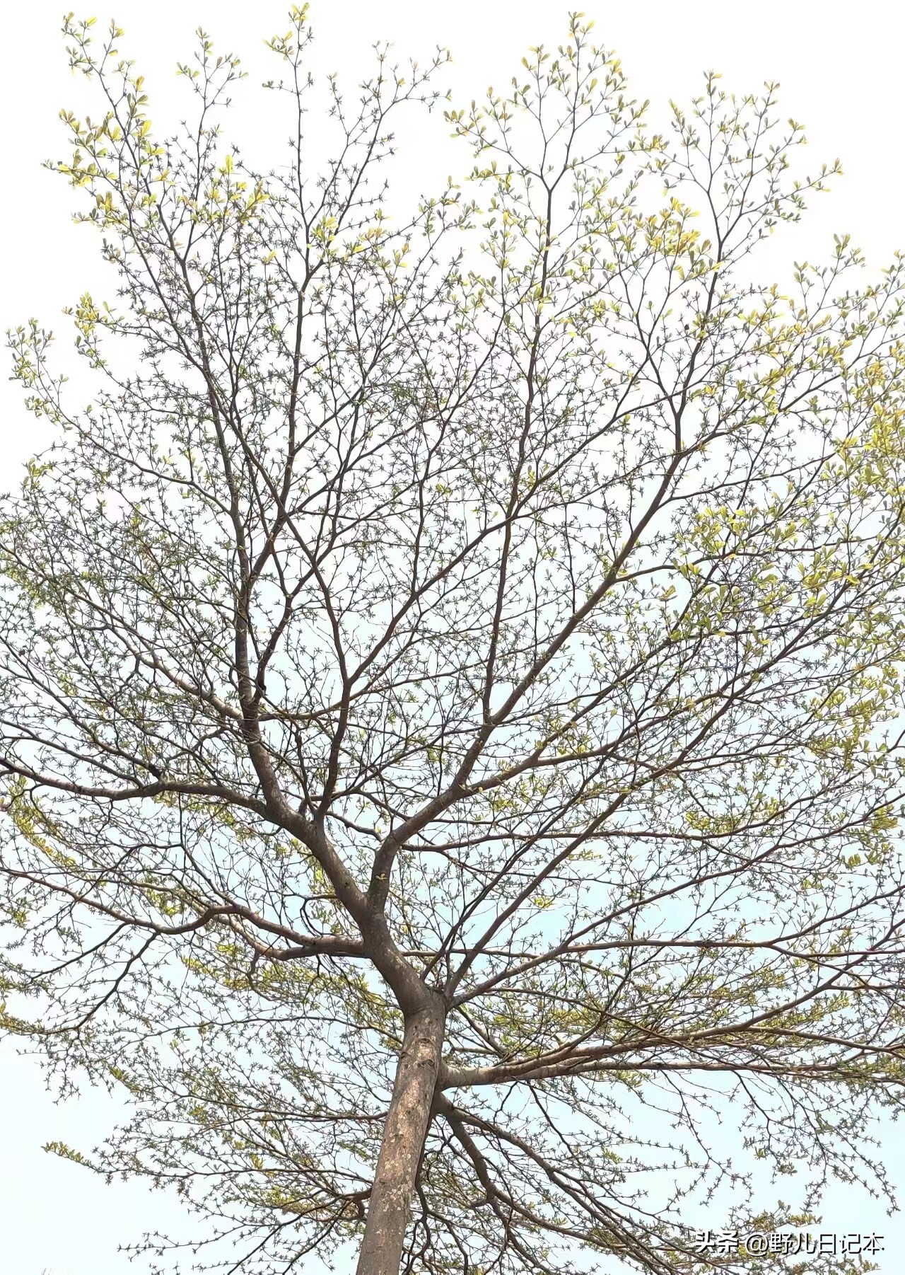 怎样在银行干保洁,女人在银行做保洁