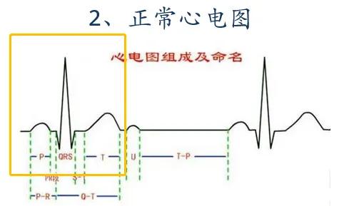 兽医临床诊断学名词解释,兽医临床诊断学教学视频