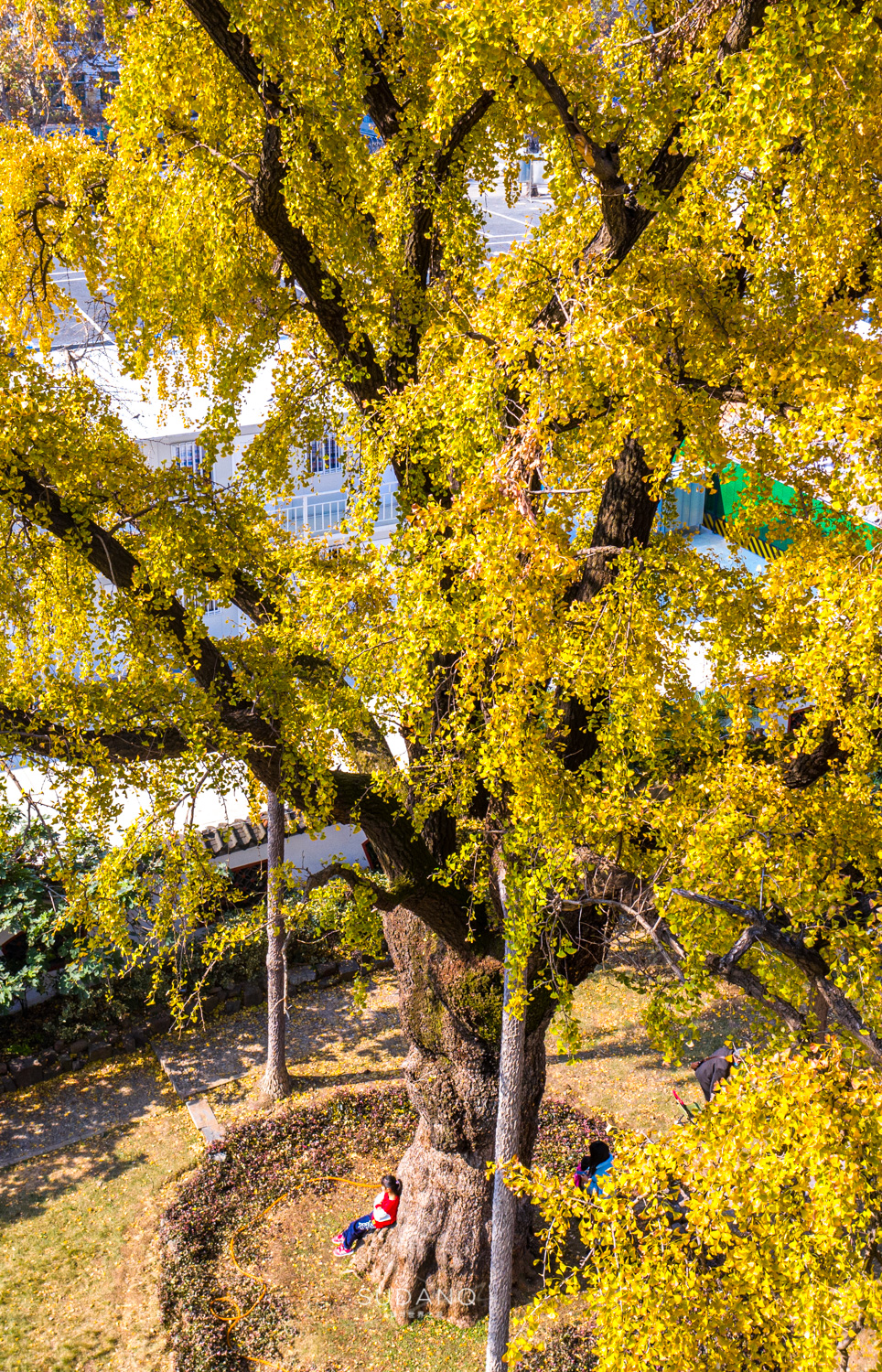 大自然塑造了我,大自然塑造者