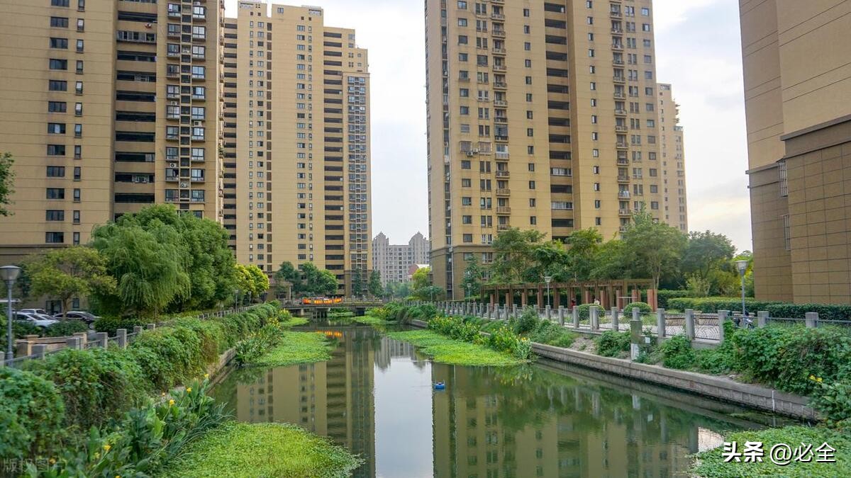 鍚勫競鏅缁垮寲鐢ㄧ殑鏍戠,鏅缁垮寲鏍戠