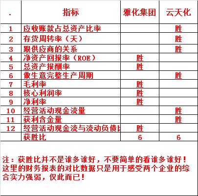 雅化集团和特斯拉,雅化集团与美国雅宝