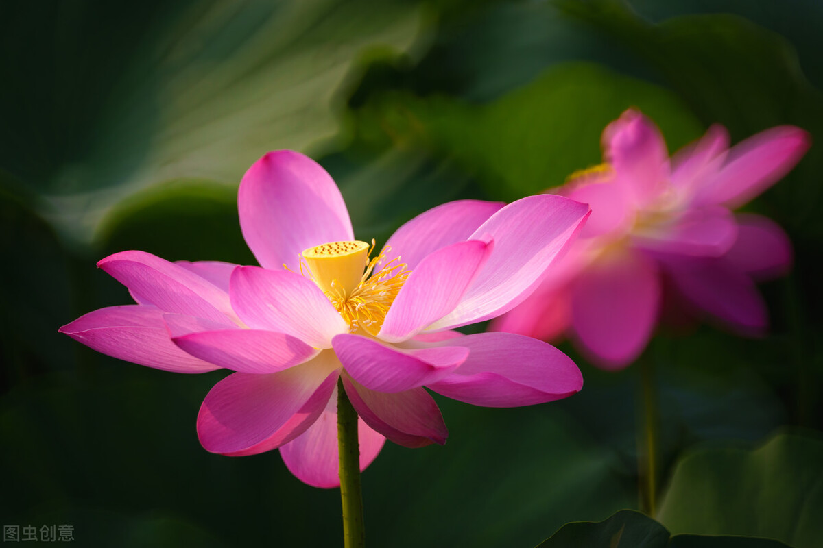 墨海扬波的诗词,墨海扬波