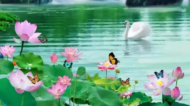 浪淘沙欧阳修把酒祝东风书法,古诗词浪淘沙诵读