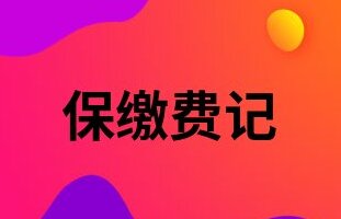 成都市社保缴费明细在哪里查询到,成都个人社保缴费怎么操作