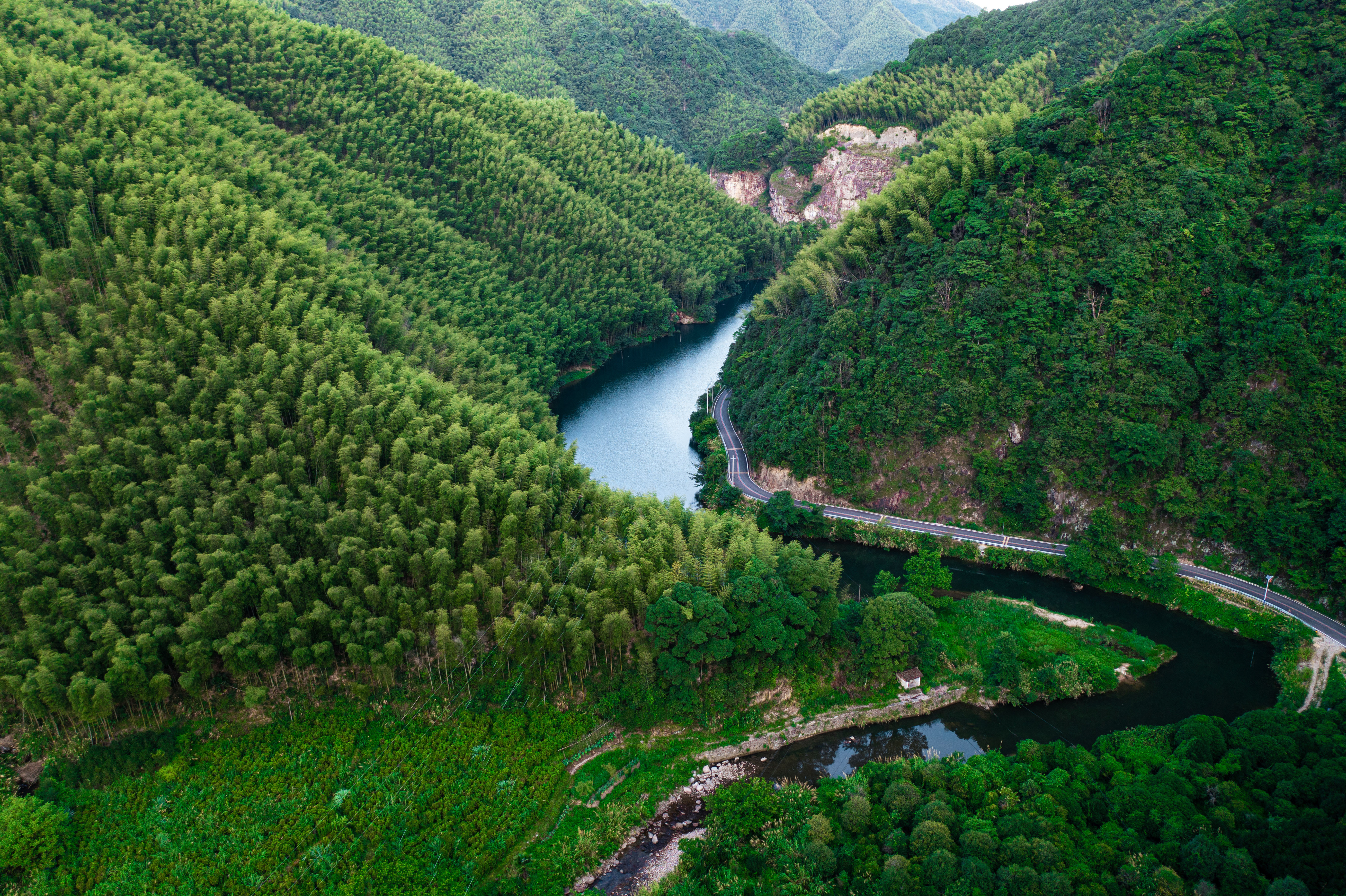 行游五府山：解密3宝，山野美味游走舌尖，传递平实的幸福
