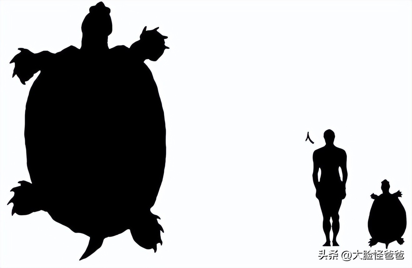 上古十大神奇的传说,真正的上古神话