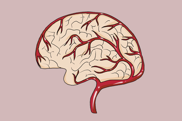 做了全麻一次对大脑的危害,人一辈子可以打麻醉全麻几次