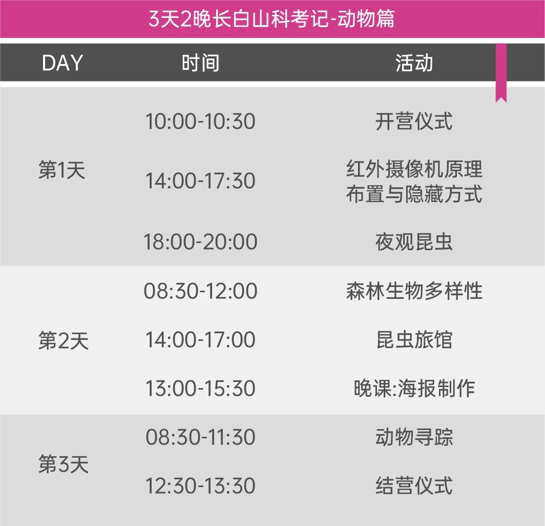 失控玩家2完整版,失控玩家游戏攻略