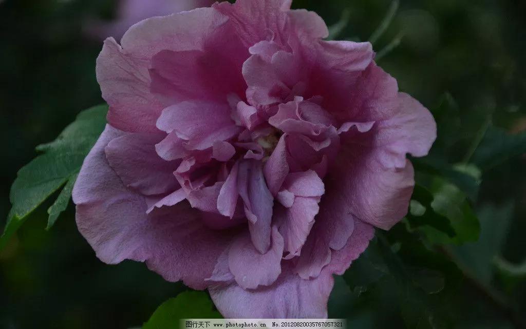 妻的周六平庸又充实