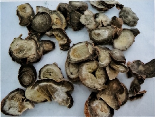 三七和金不换是一样的吗,金不换和三七是同一种中药吗