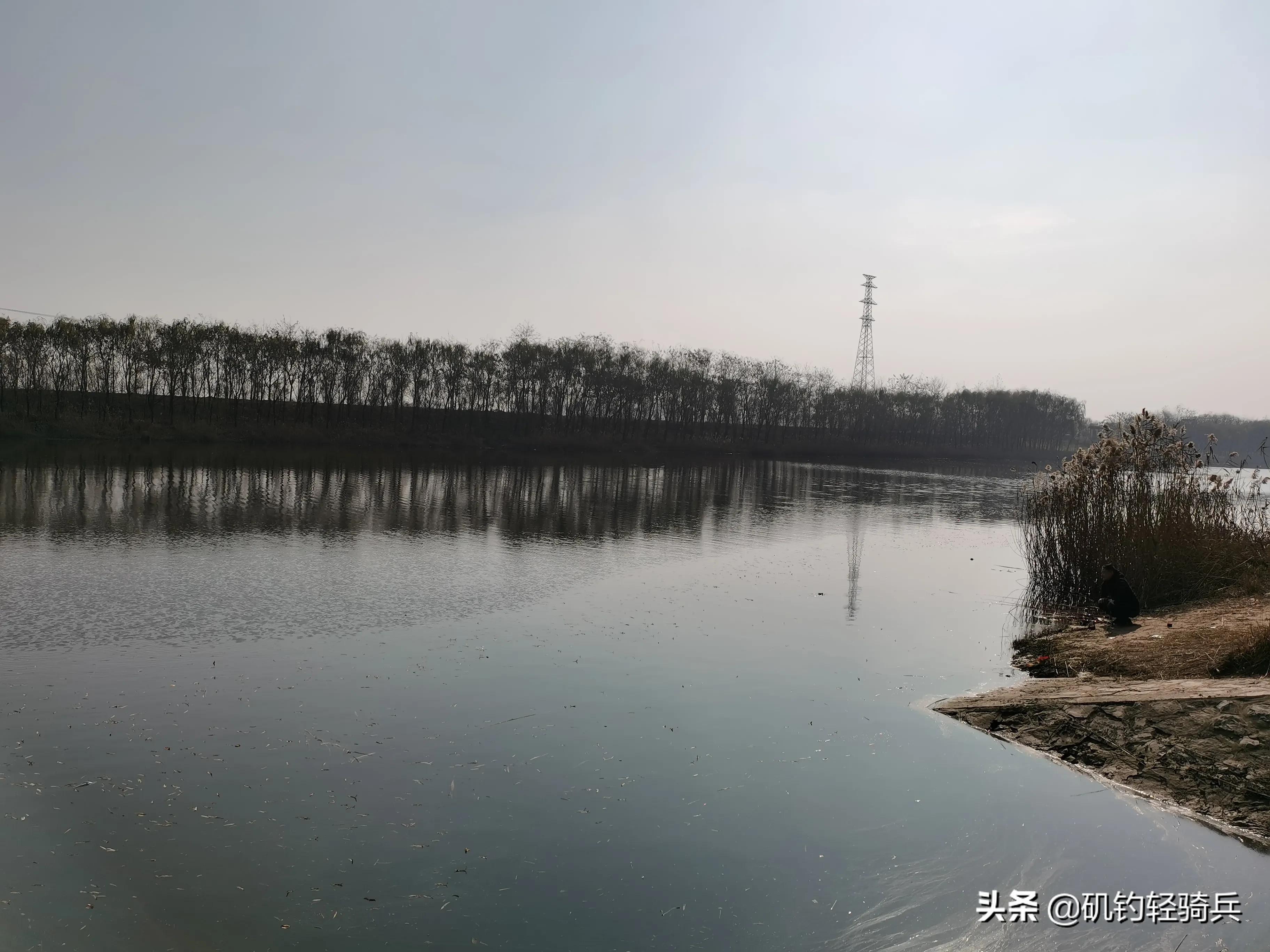 为何冬季钓打板鲫用的钩越大越好,冬季排钩大鲫