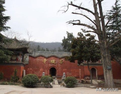 中原最大的寺庙,中原十大名寺是哪个