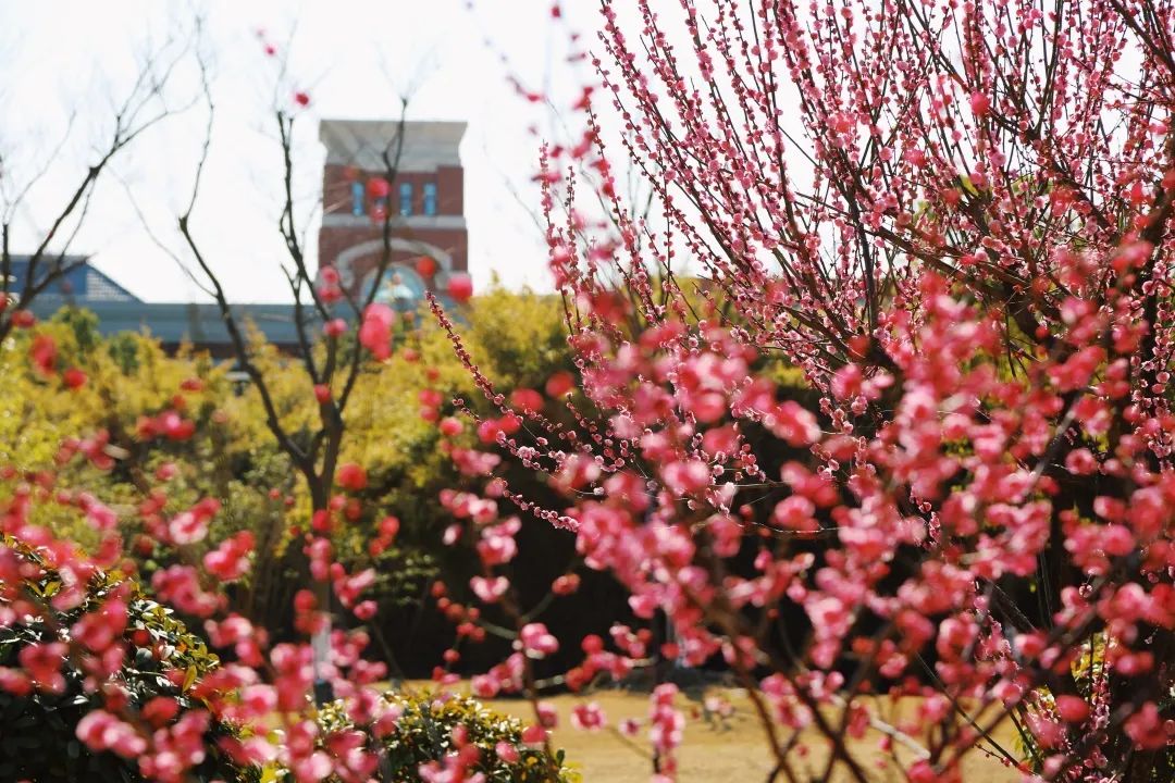 上海华东政法大学介绍与发展历程,华东政法大学上海政法学院