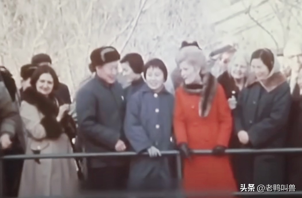 熊猫外交带来的经济效益,熊猫外交新闻稿