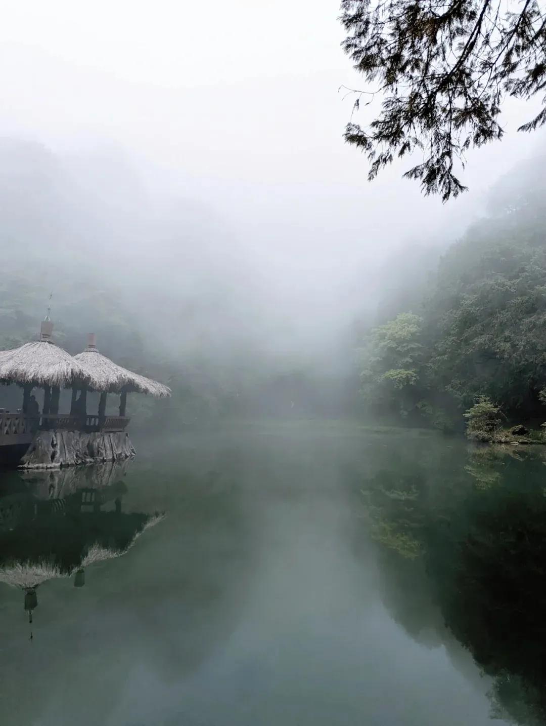 避暑胜地有山有水有树林,大别山避暑胜地有哪些
