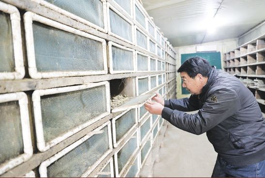 蜗牛可以做花肥吗,蜗牛做美容产品