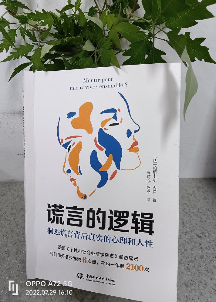 洞悉谎言,洞察谎言