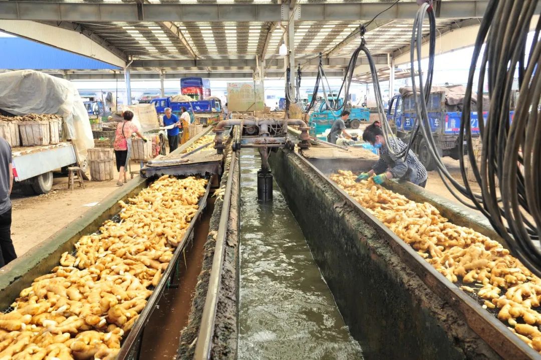 这才是潍坊（“好品潍坊”篇）