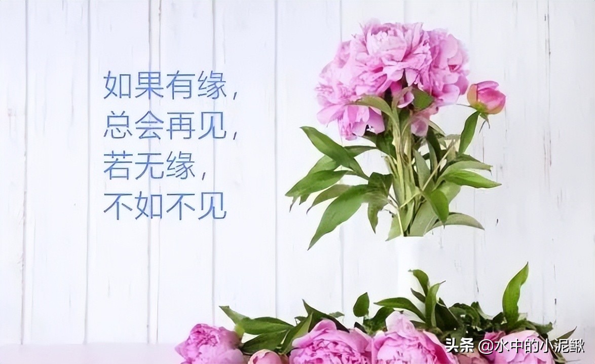 早安励志语录简短的句子有哪些,早安语录励志句子短句有哪些