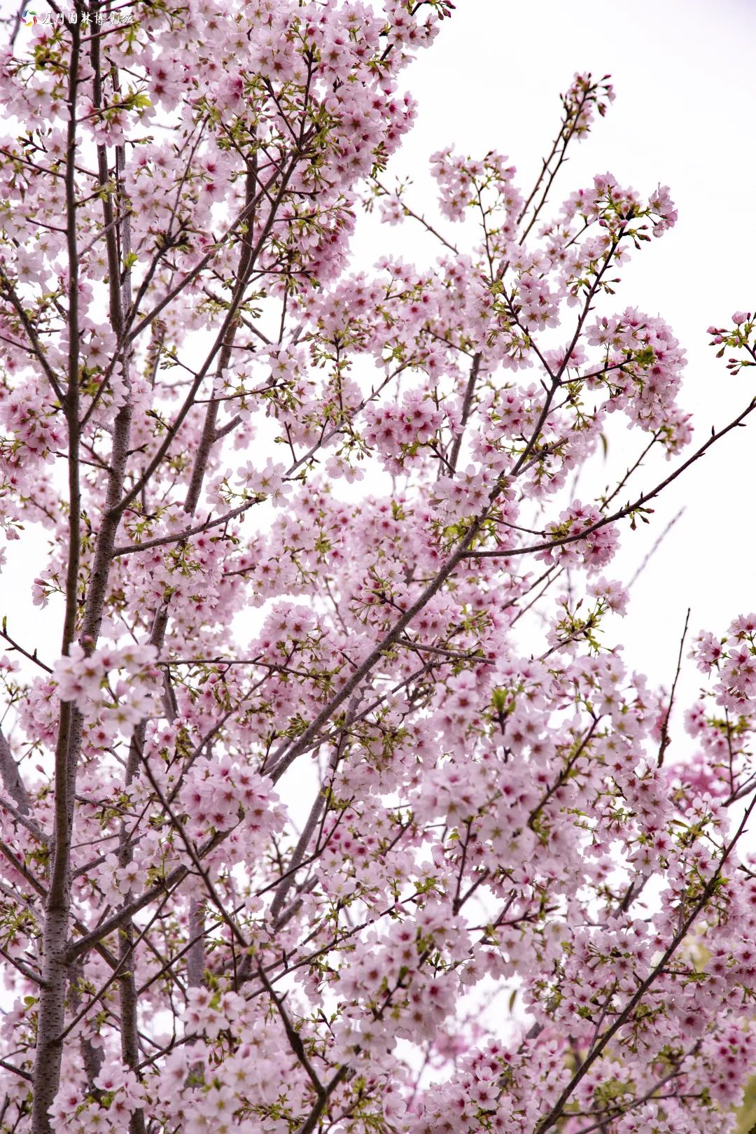 冬天厦门观鸟旅游,厦门大自然小朋友玩的地方推荐