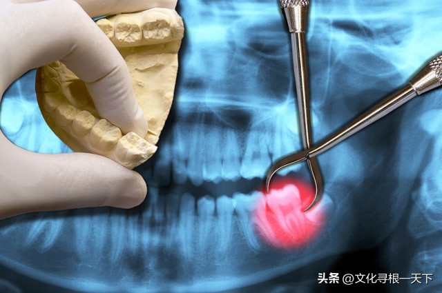 看牙记录视频大全,看牙记作文200字