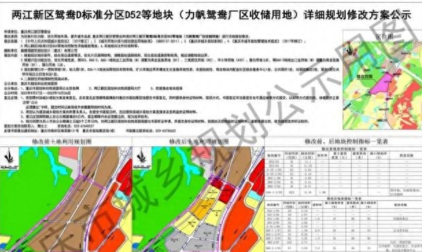 重庆鸳鸯力帆土地出让,重庆力帆鸳鸯地块成交了吗