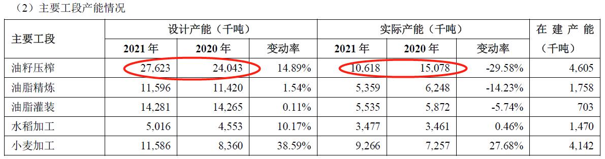 金龙鱼是怎样的鱼,深度解析金龙鱼