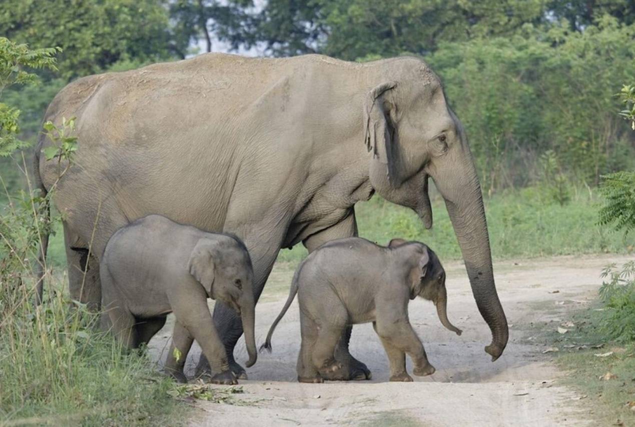 西双版纳最适合住的地方,西双版纳避寒避暑的雨林仙境