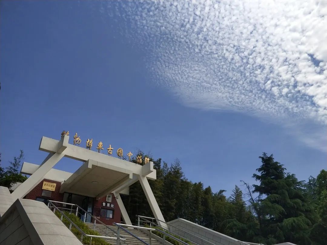 淄博六一儿童节打卡攻略,淄博适合孩子过六一的地方