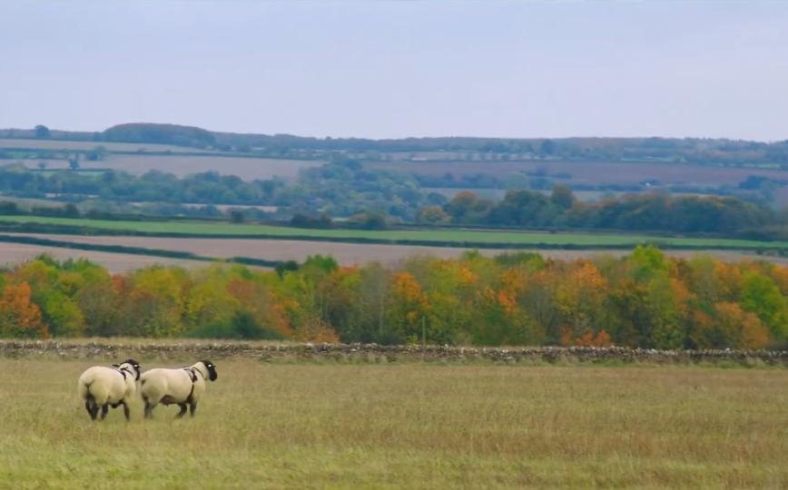 英国富豪农场纪录片,英国富豪农场主纪录片