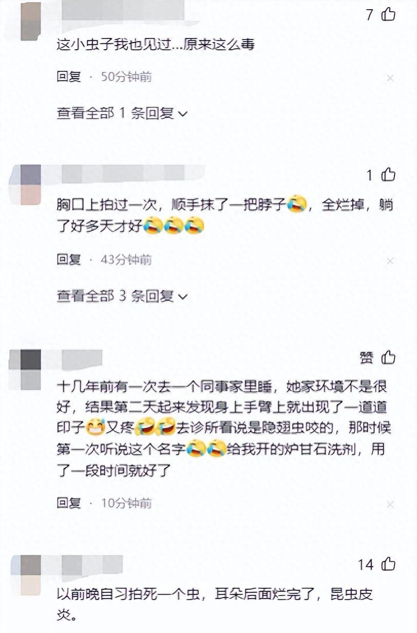 硫酸虫咬了怎么处理,硫酸虫导致皮肤损伤处理