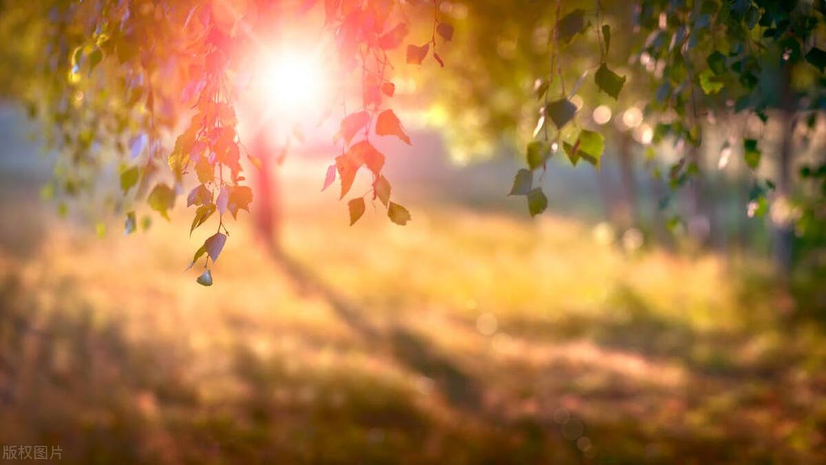 引领石墨烯产业走向科技前沿,石墨烯的应用与前景