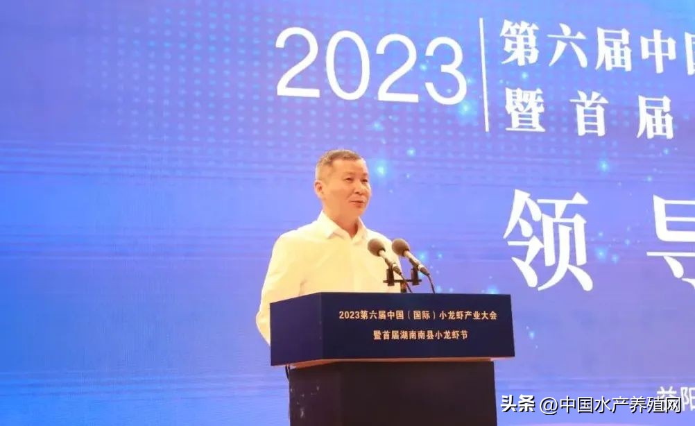 2023年南县小龙虾价格行情,南县小龙虾价格报价