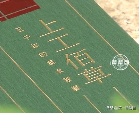 手机抢单子赚佣金,手机上的抢单赚钱是怎么做的