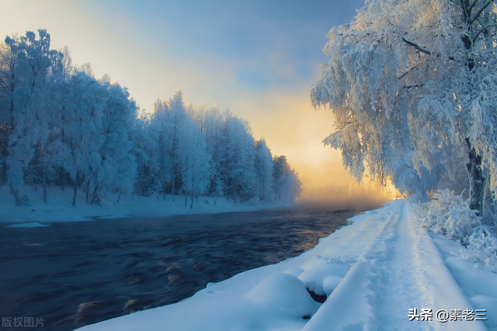 女作家去做保姆679,女作家去做保姆579