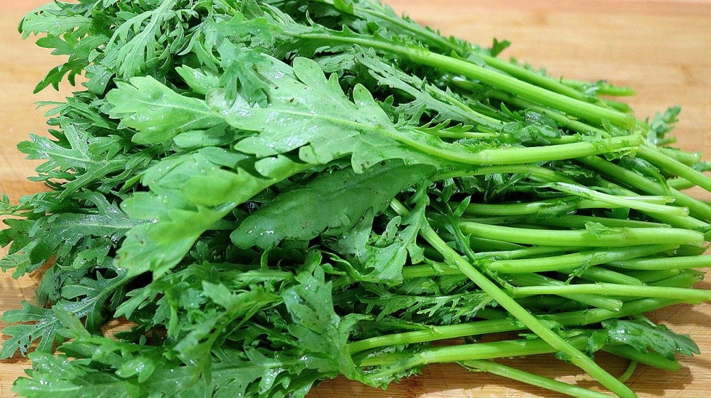 老人吃的助眠药,老年助眠的药