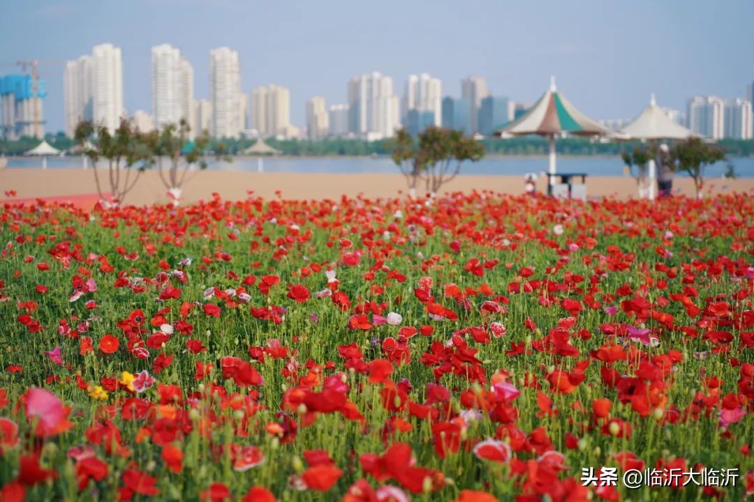 临沂保姆级游玩攻略来啦！2023新生游客必看！