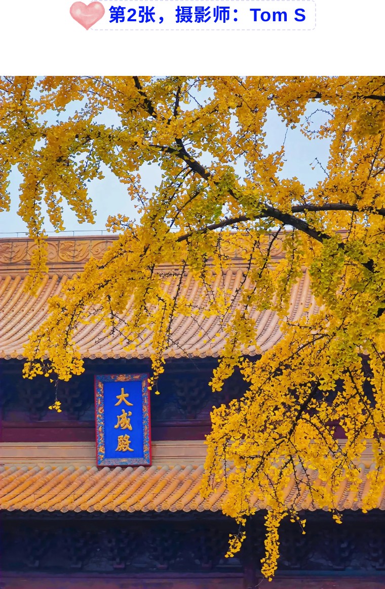 36个技巧助您手机拍大片,学会这7点轻松拍大片