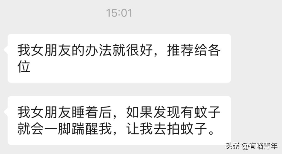 养猫不能放蟑螂药怎么办,养猫不能用的驱蚊方法