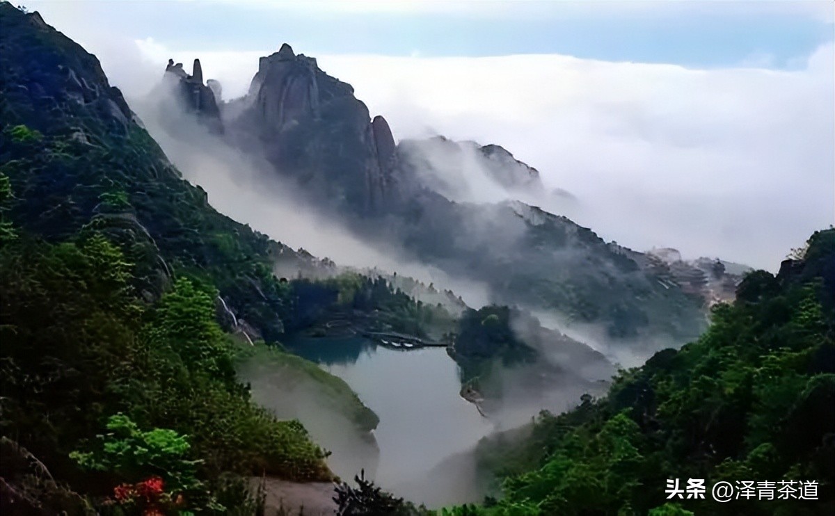 中国十大名茶哪一个茶叶最好,中国十大名茶哪款最特别