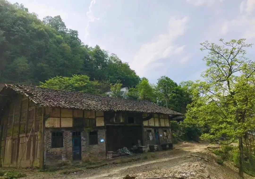 南川区金佛山旅游攻略,南川金佛山一日自驾游攻略
