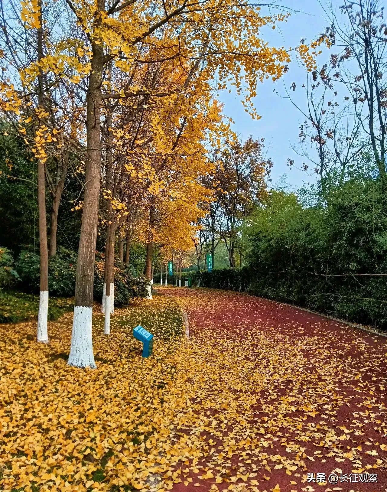 西安“四区联动”效果初现，刘国中强调继续加大措施力度