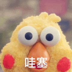 win11哪个版本能用copilot,windows11copilot功能