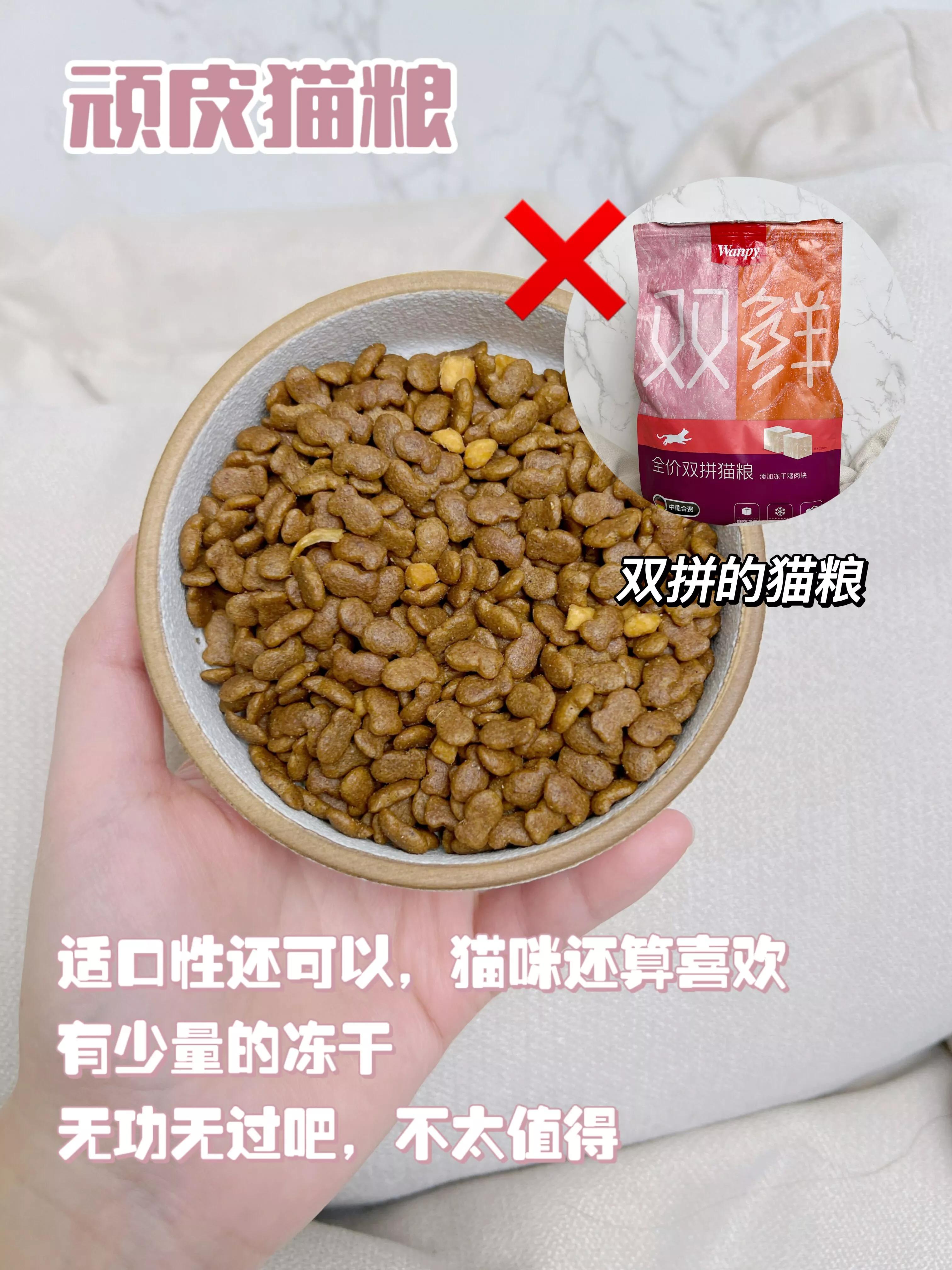 宠物店工作四年总结一些养狗知识,宠物店使用什么猫粮好些