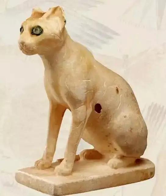 古埃及猫的地位,中世纪猫抓老鼠
